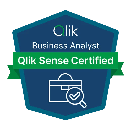Qlik Business Analyst